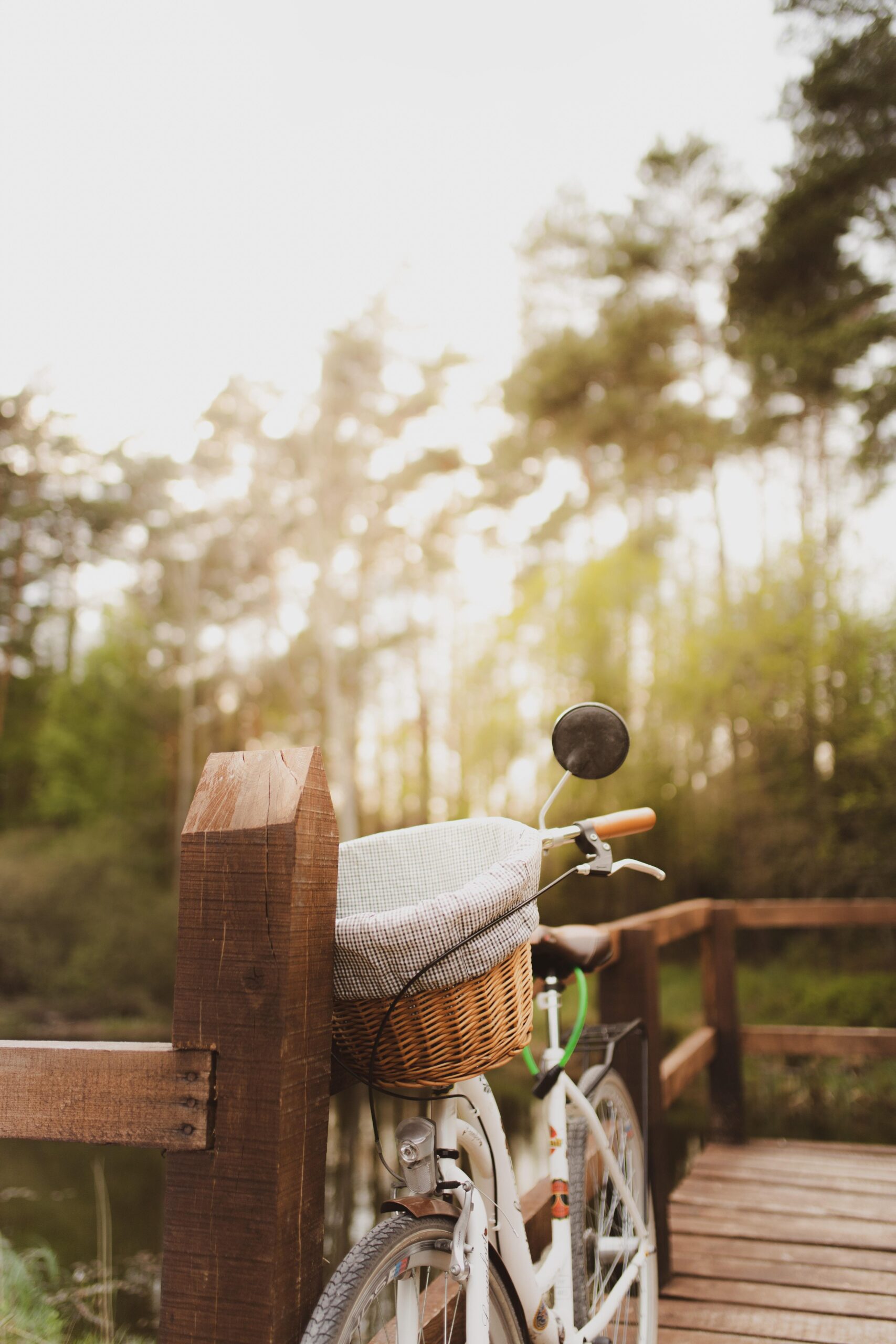 A vertical shot of a bicycle parked on a wooden bridge in the forest